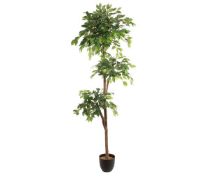 Planta Artificial FICUS 2.20m
